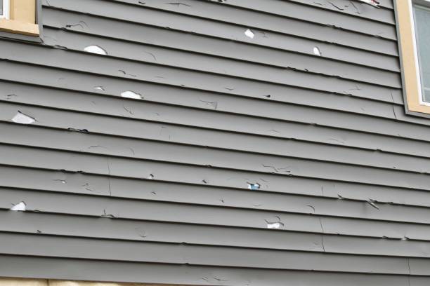 Best Custom Trim and Detailing for Siding  in West Belmar, NJ