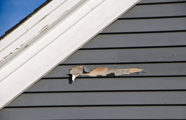 Best Fiber Cement Siding Installation  in West Belmar, NJ